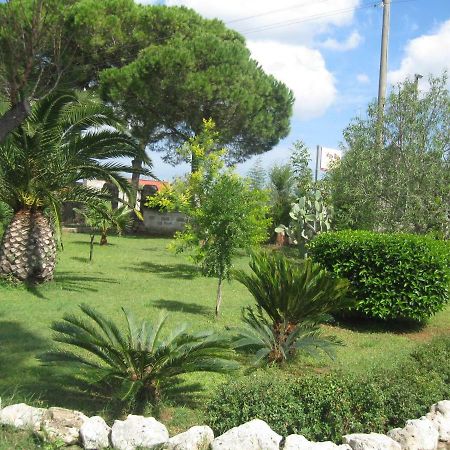 Villa Rita Bed & Breakfast Campi Salentina Exteriér fotografie